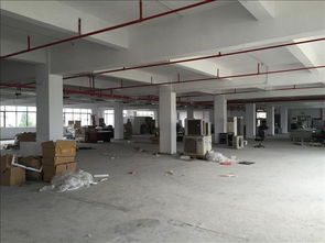 惠州市專(zhuān)業(yè)建筑廠房質(zhì)量安全檢測(cè)技術(shù)服務(wù) 構(gòu)筑堅(jiān)固基石，護(hù)航產(chǎn)業(yè)發(fā)展